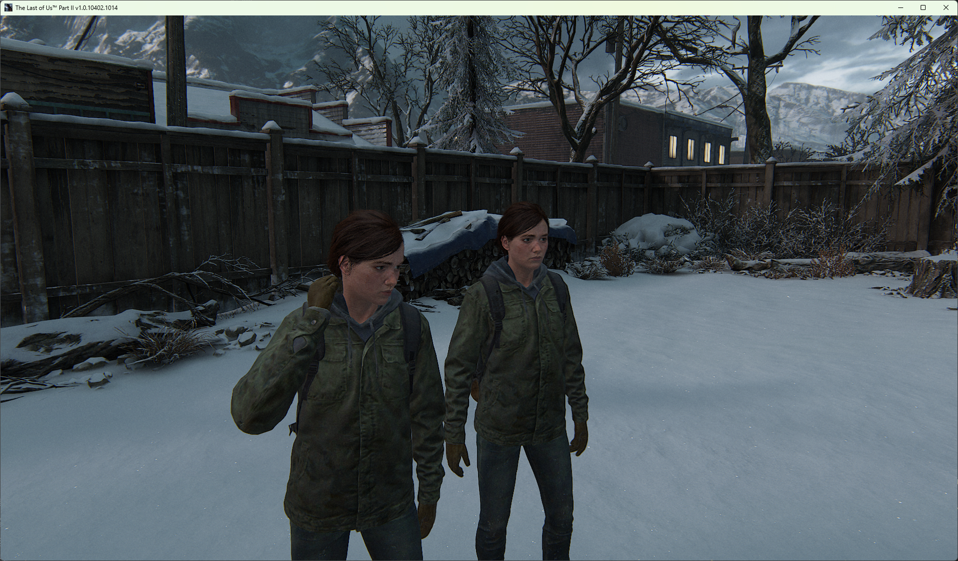 TLOU2 Co-op prototype